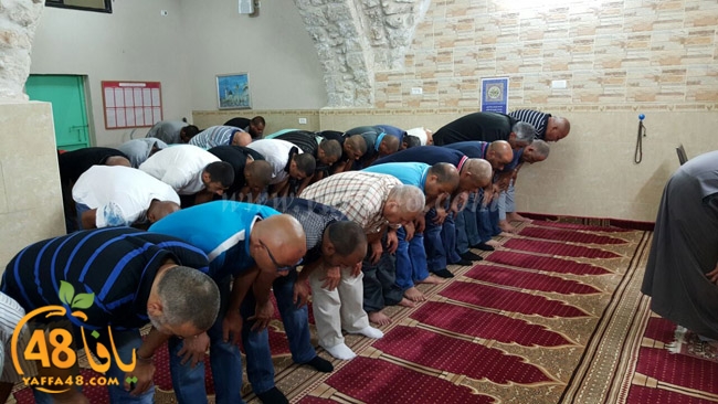 7ozaifa yaman (9).jpg